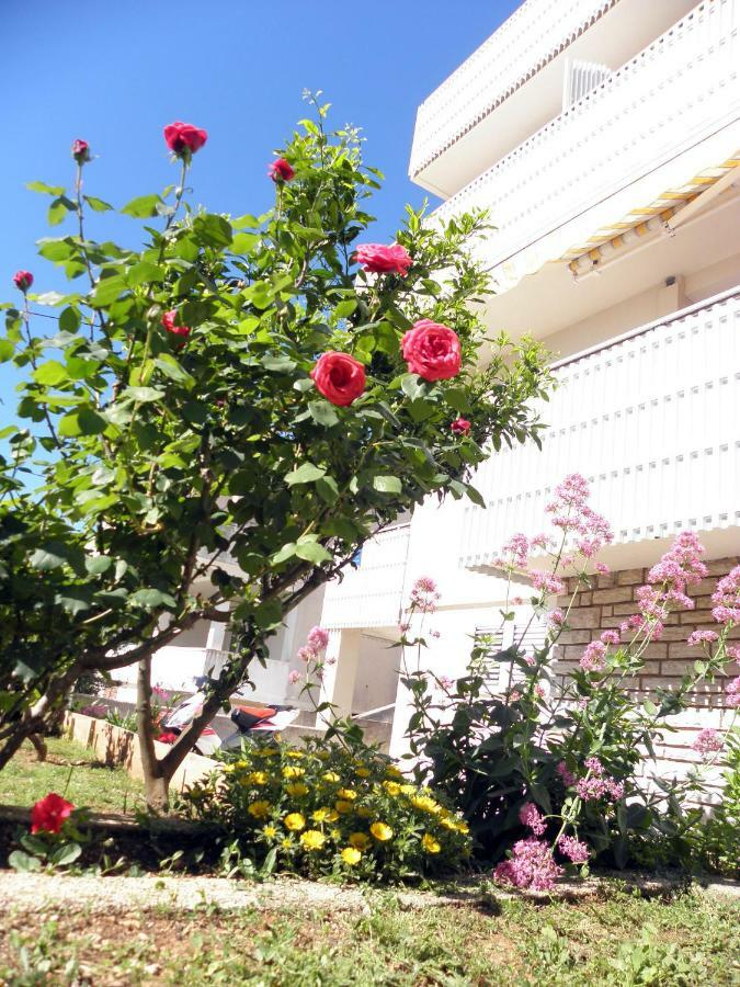 Apartments & Rooms Peranic نوفاليا المظهر الخارجي الصورة
